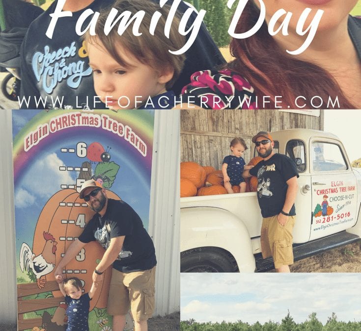 Family Day- Pumpkin Fest @Elgin Christmas Tree Farm