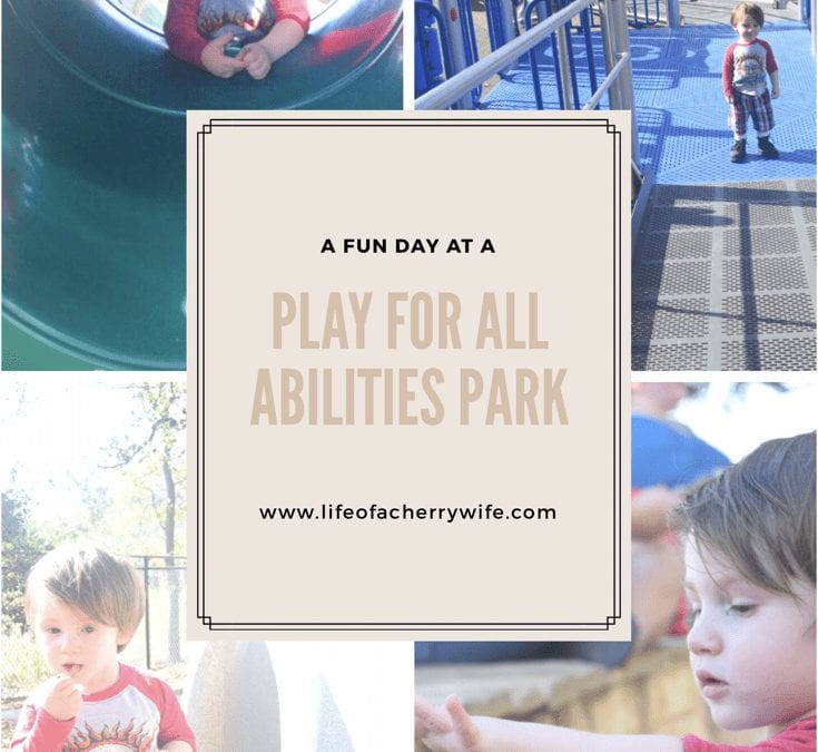 A Fun Day, Play For All Abilities Park