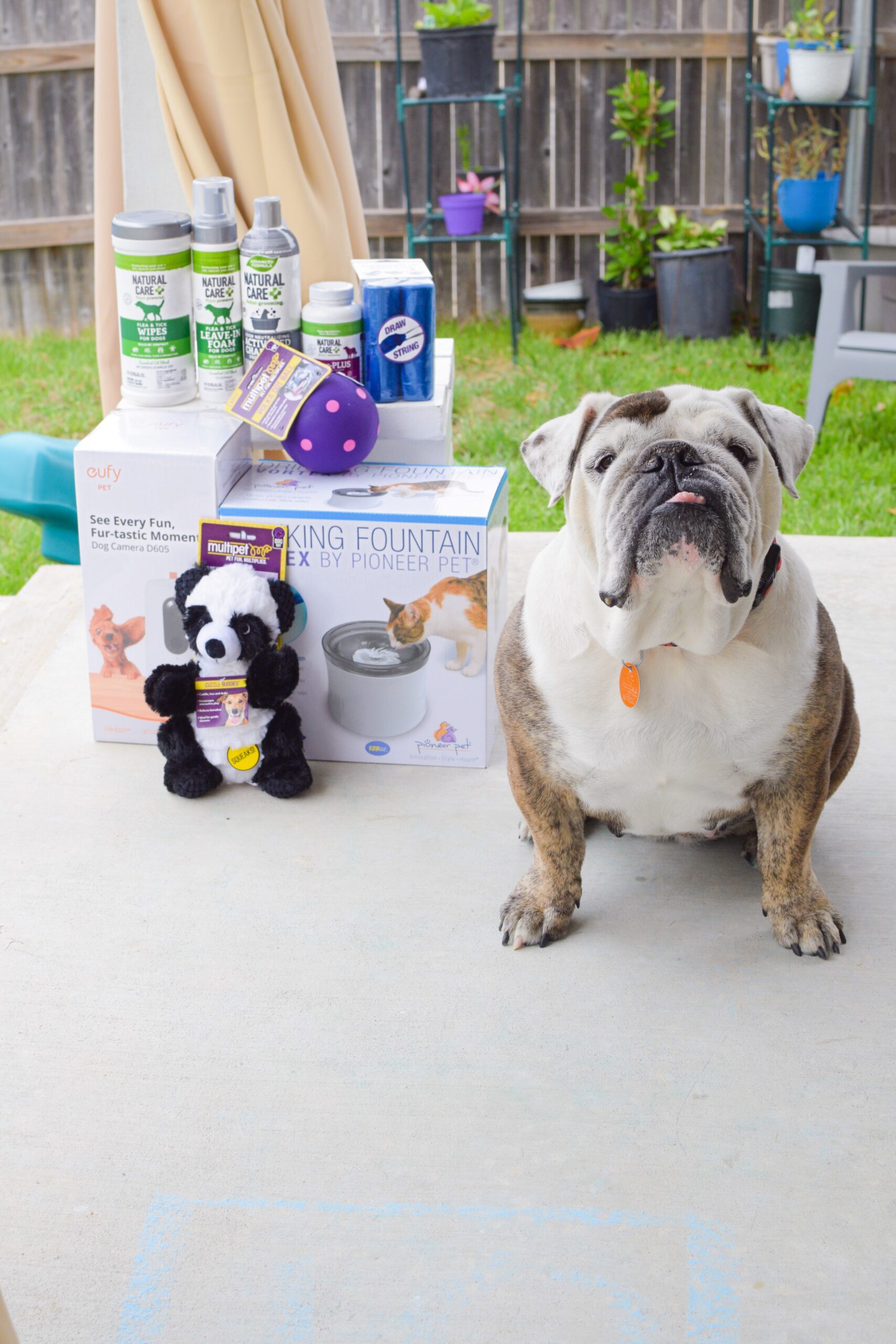 New pet products for spring, pet products